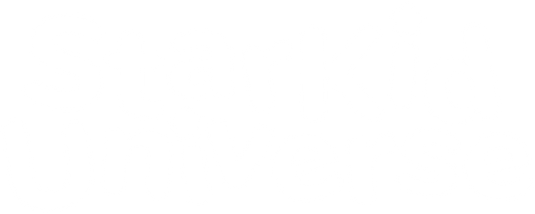 StarKid Universe